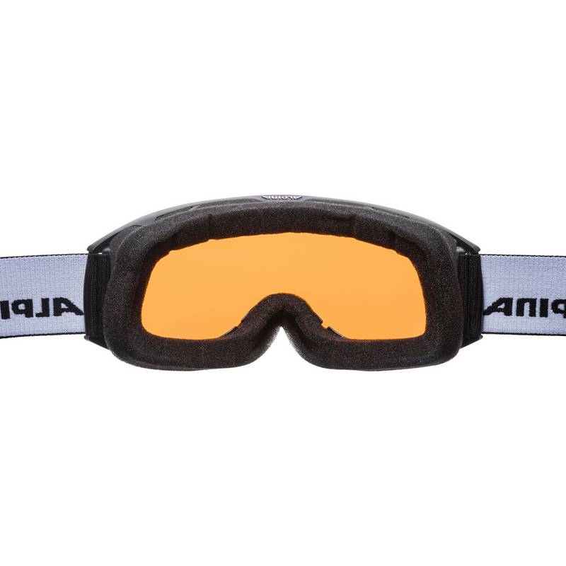 ALPINA NAKISKA Skibrille