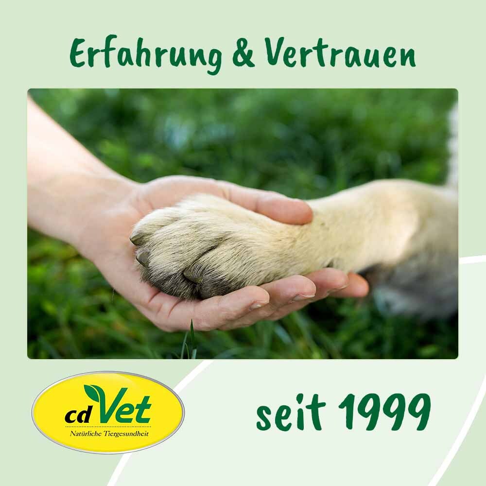 dentaVet Zahnpflege dentaVet Gel 25ml