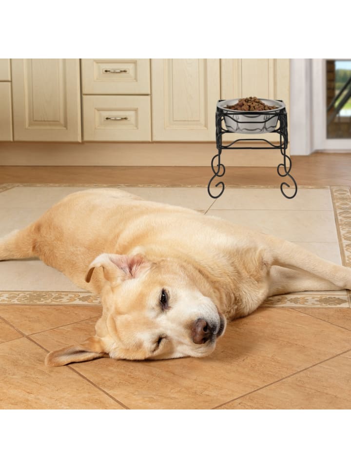 relaxdays Hundenapf in Schwarz/ Silber - (B)26 x (H)26 x (T)26 cm günstig kaufen onesize