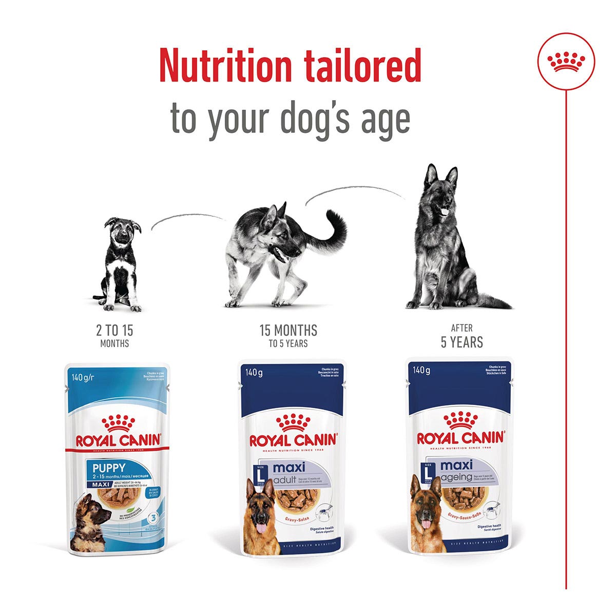 Royal Canin SHN Maxi Adult Gravy günstig kaufen bei ZooRoyal