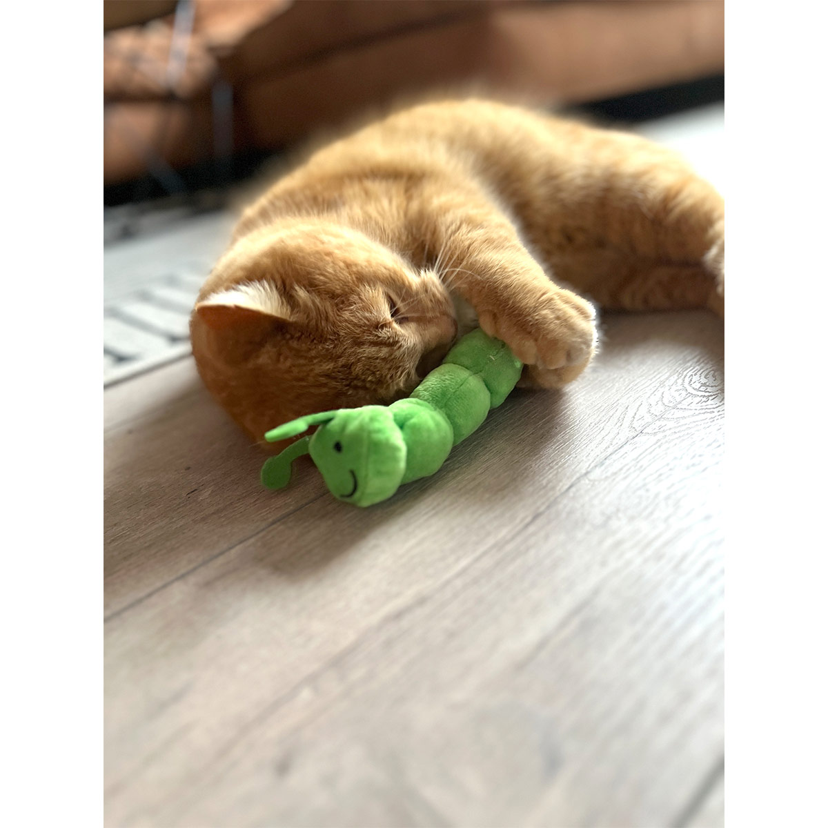 Aumüller Katzenspielkissen Raupe Pedro kaufen