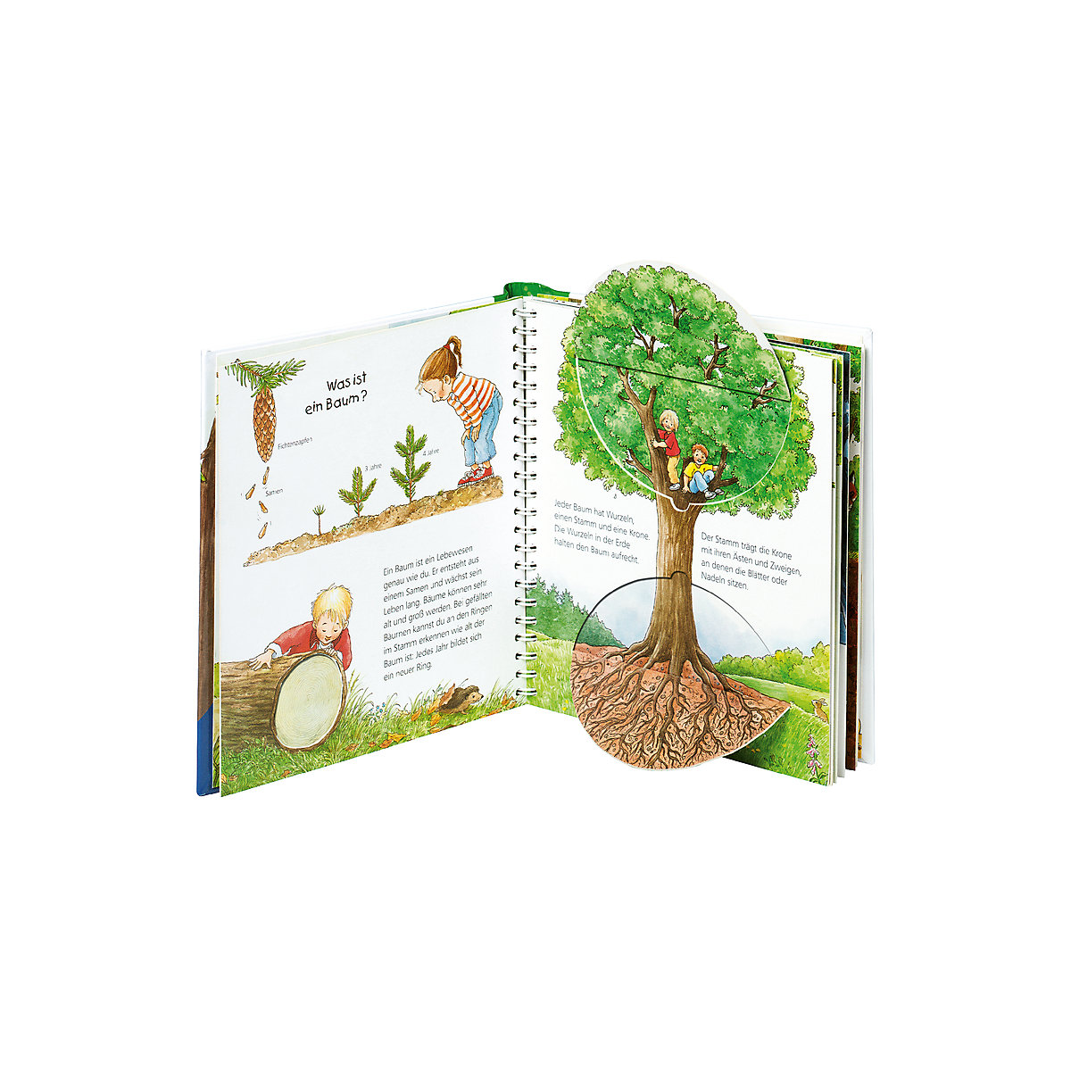 WWW junior Der Wald