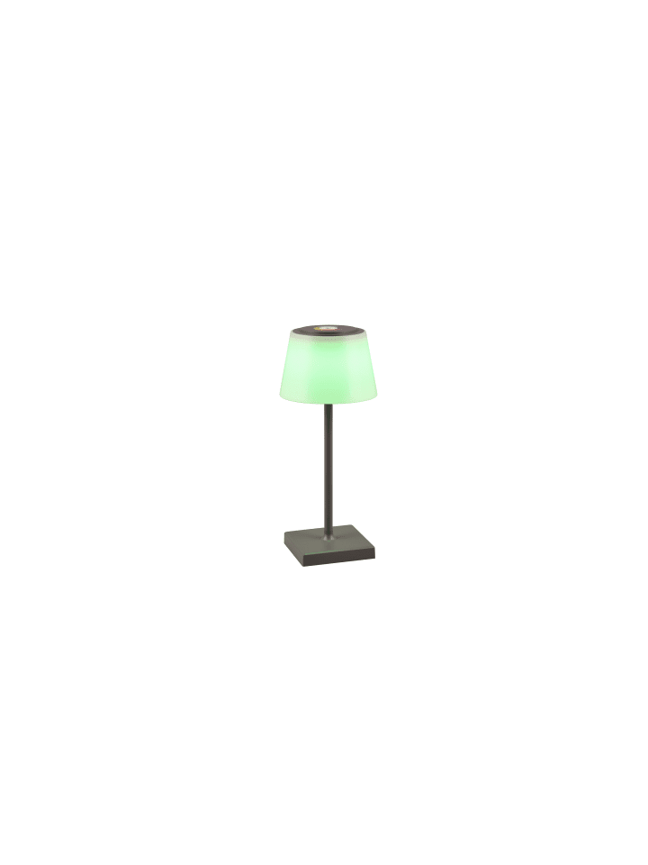Reality Leuchten Tischleuchte SANCHEZ in anthrazit günstig kaufen onesize