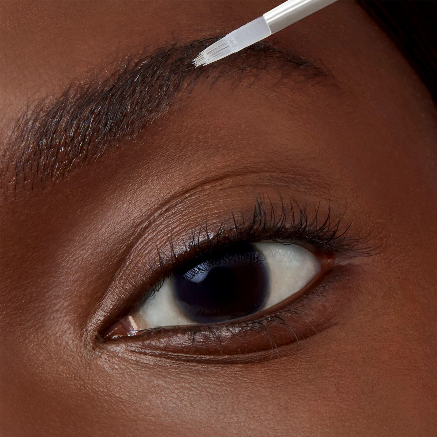 Estée Lauder Turbo Lash Sérum Revitalisant de Nuit Cils et Sourcils