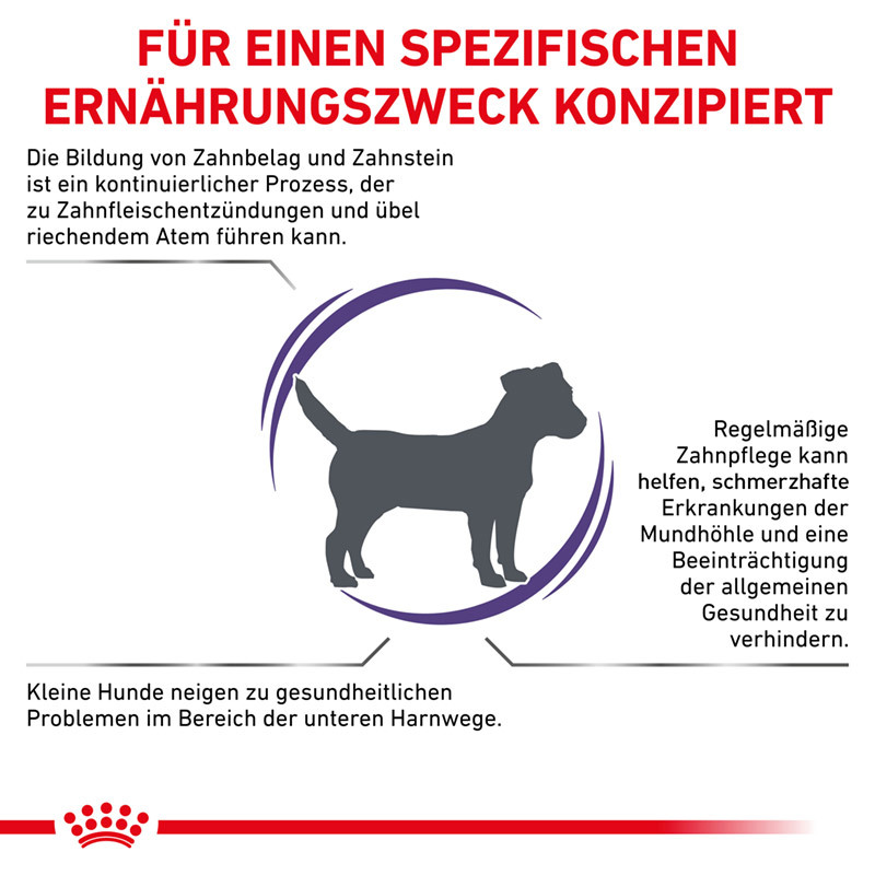 ROYAL CANIN Zähne ROYAL CANIN Expert Dental Small Dogs 3,5 kg