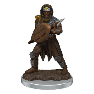 D&D Icons of the Realms Premium Miniatur vorbemalt Male Human Fighter