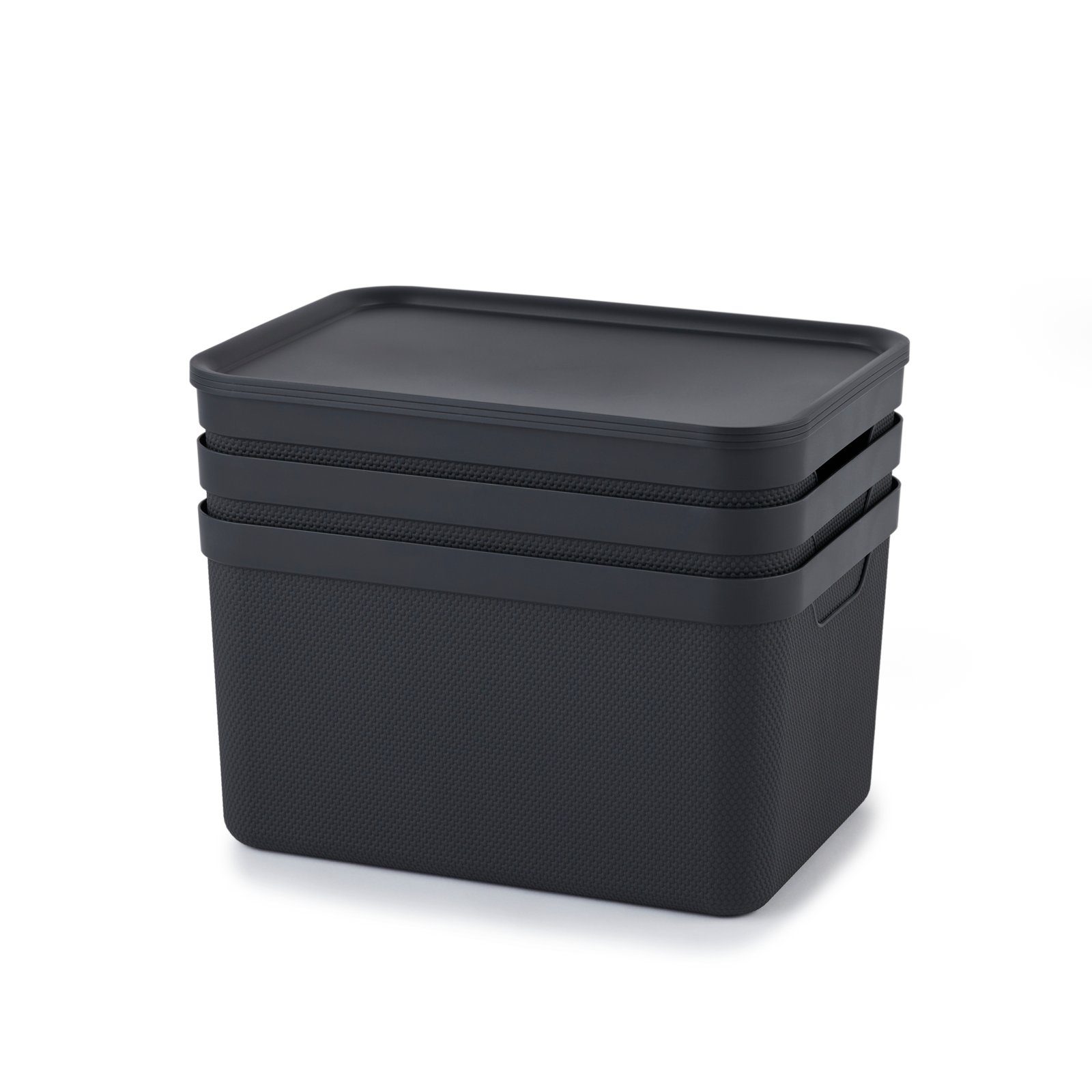 ROTHO Aufbewahrungsbox Jive Dekobox 3er- Set Aufbewahrungskorb 16l mit Deckel (Aufbewahrungsboxen, 3er-Set)