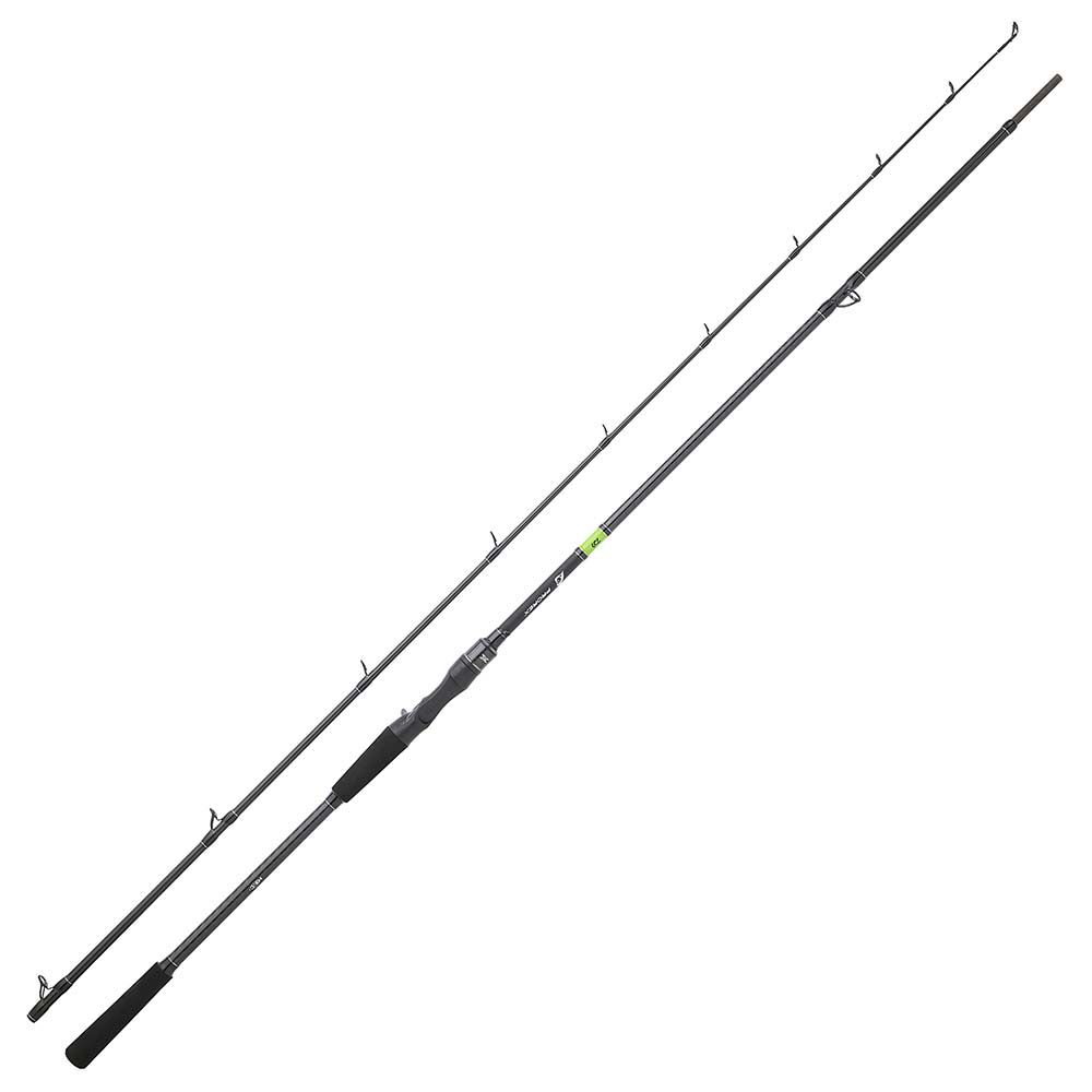 Canne Casting Dawia Prorex E Power Cast I 2m24, 60-120g