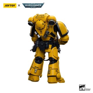 Warhammer 40k Actionfigur: Imperial Fists - Intercessor