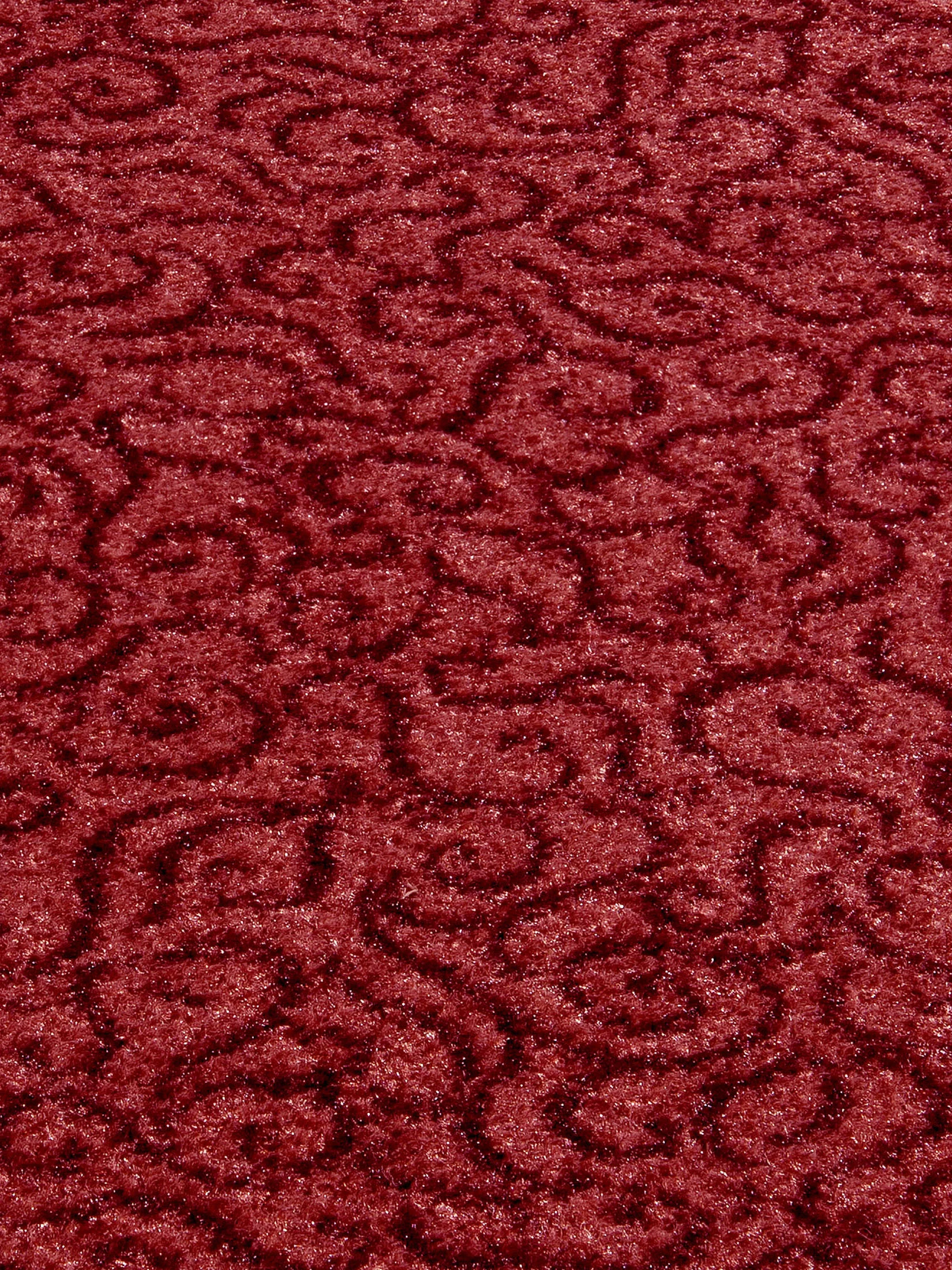 Aktiv Colour Sauberlaufmatte, Blau