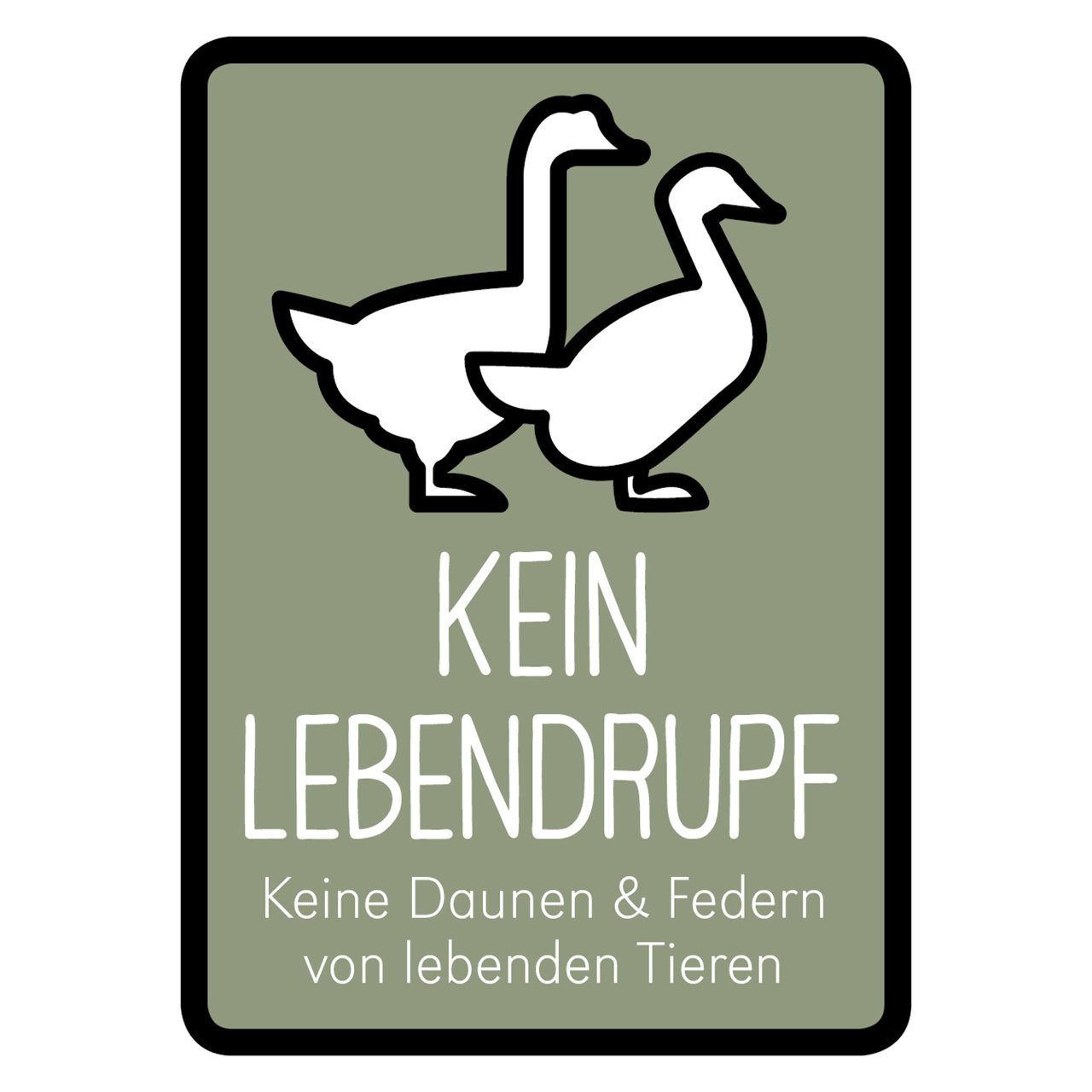 Federkopfkissen Exclusive Light 3-Kammer-Kopfkissen, Blank Home