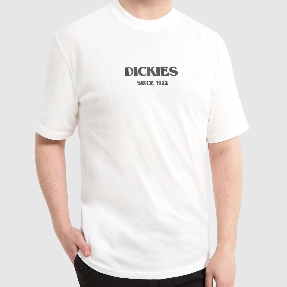 DICKIES Max Meadow póló fehér színben