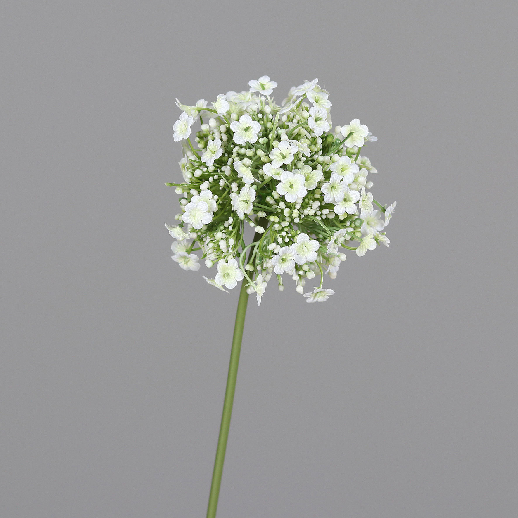 DPIAllium 46cm