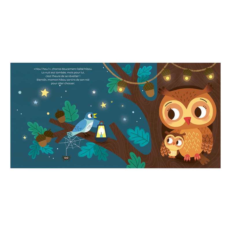 Livre Mon livre son et lumière, Bonne nuit ! - Larousse Jeunesse
