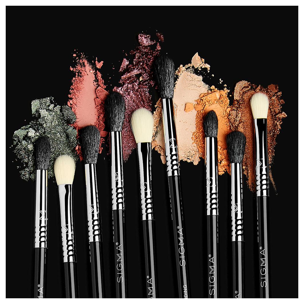 SigmaTech® this Professional-Grade Brush Set