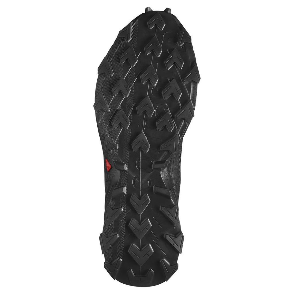 Salomon Alphacross 5 L47313100 / schwarz