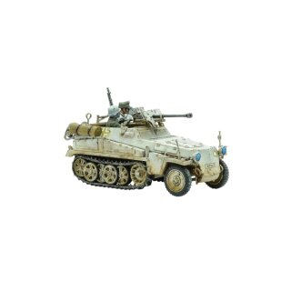 Sd.Kfz 250 (Alte) Half-Track (Options to make 250/1, 250/9 & 250/11 Variants)