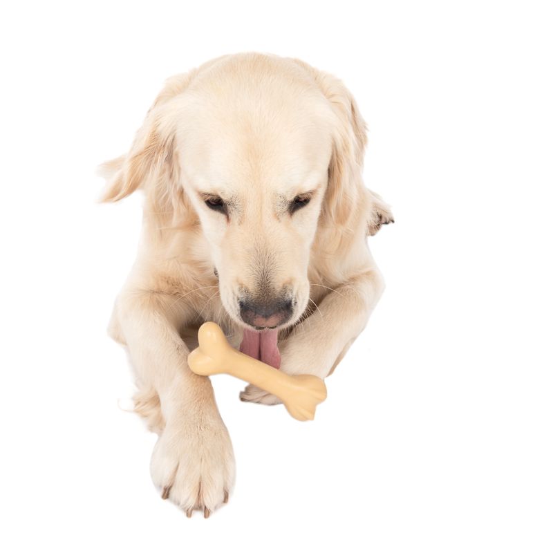 TIAKI Gummiknochen Hundespielzeug zu TOP-Preisen