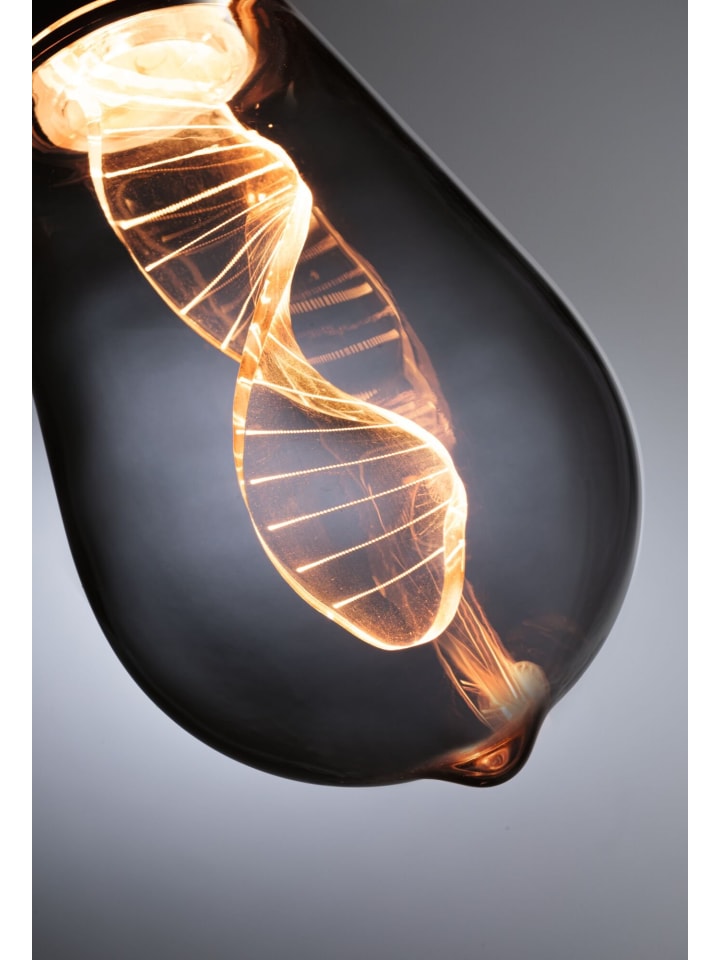 paulmann Inner Glow Edition LED Kolben Helix günstig kaufen onesize