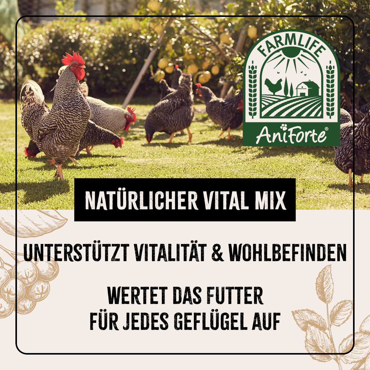 Aniforte Futter & Heu Aniforte FarmLife Geflügel Vital Mix Pulver 500g