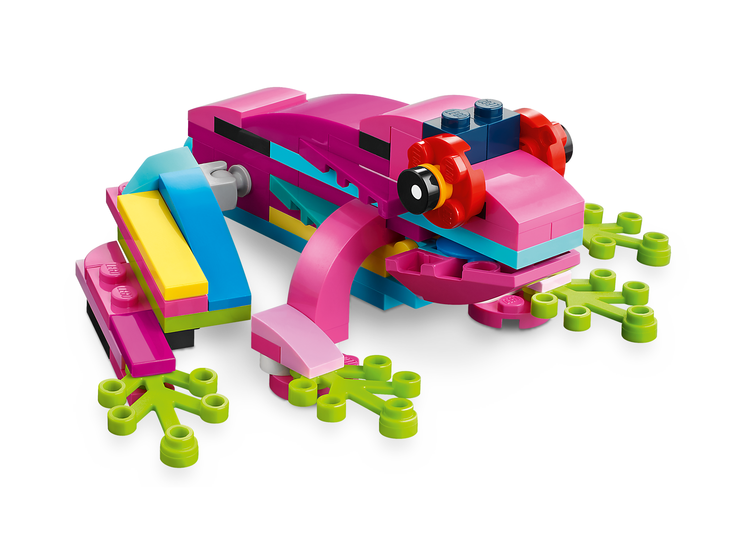 Exotischer pinkfarbener Papagei 31144