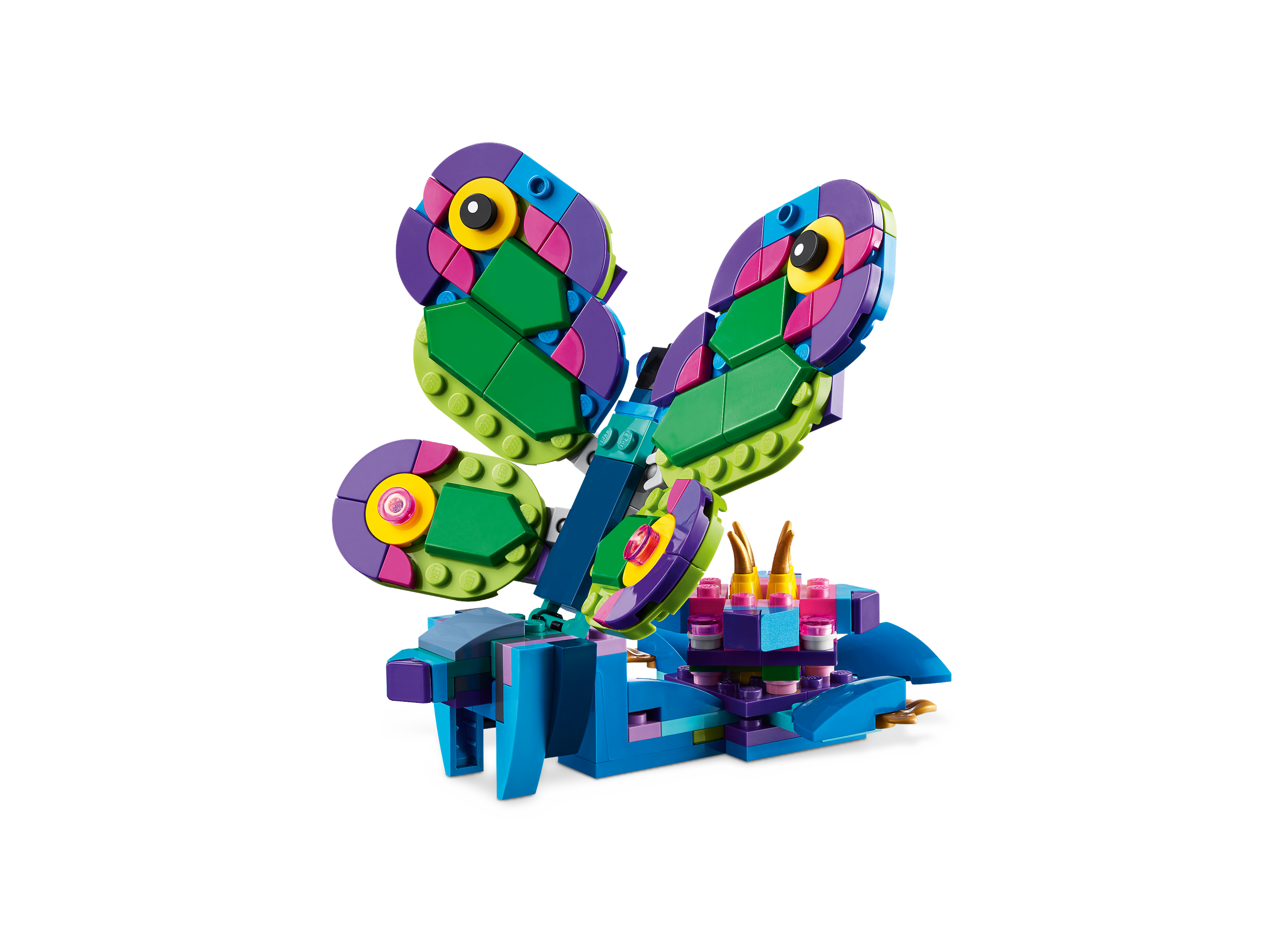 Exotischer Pfau 31157