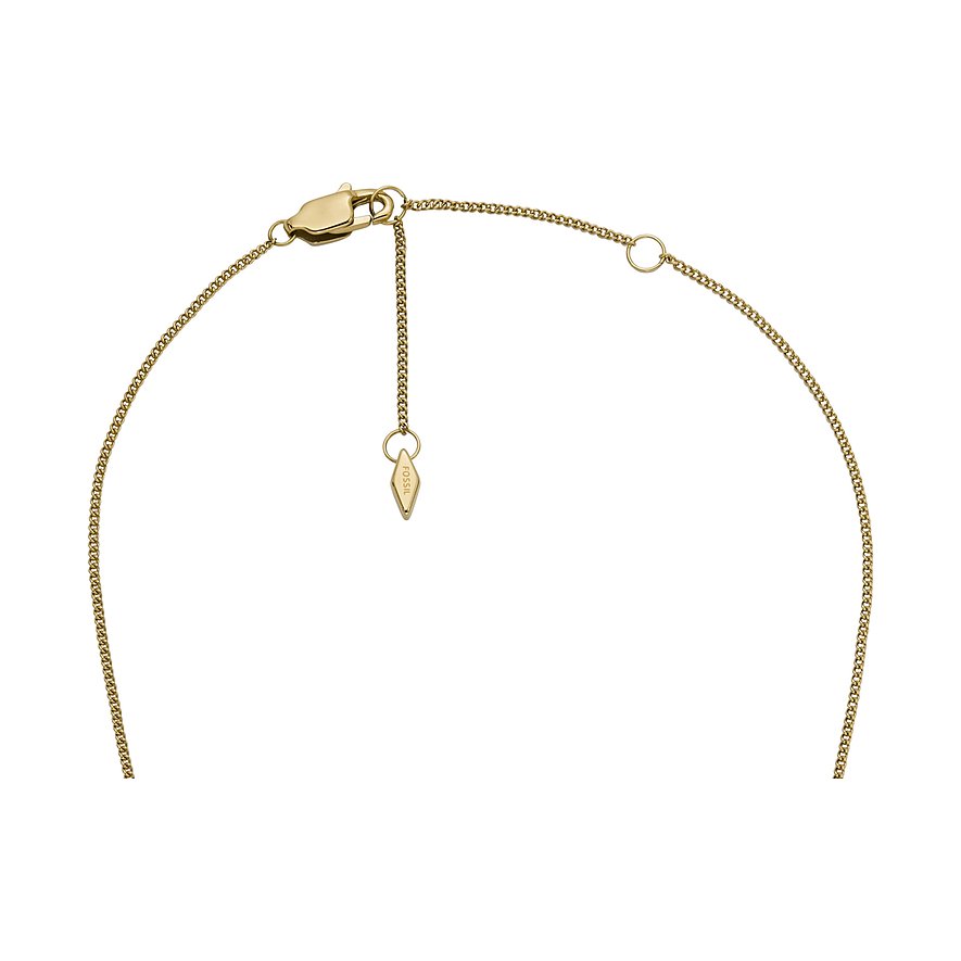 Fossil Kette