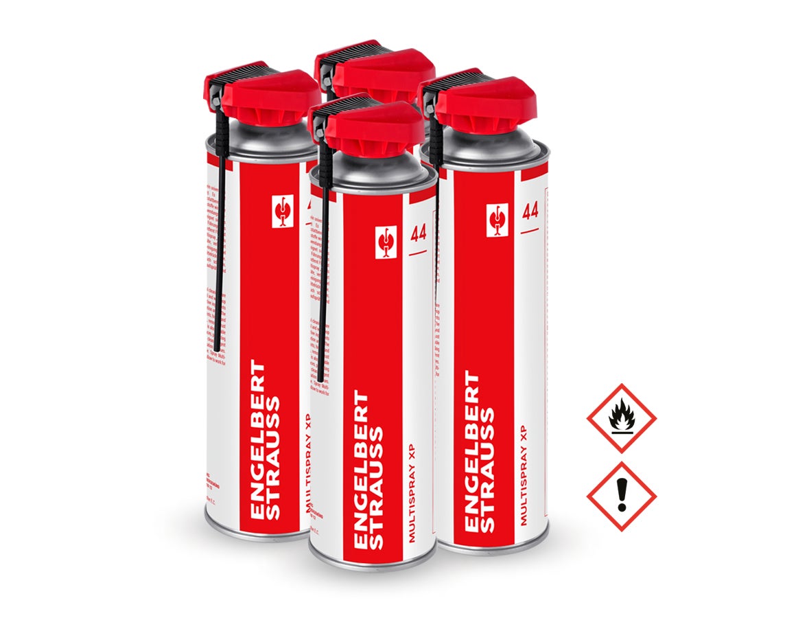 Aktion: 3 + 1 e.s. multispray xp