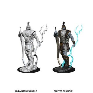 D&D Nolzur's Marvelous Miniatures - Storm Giant