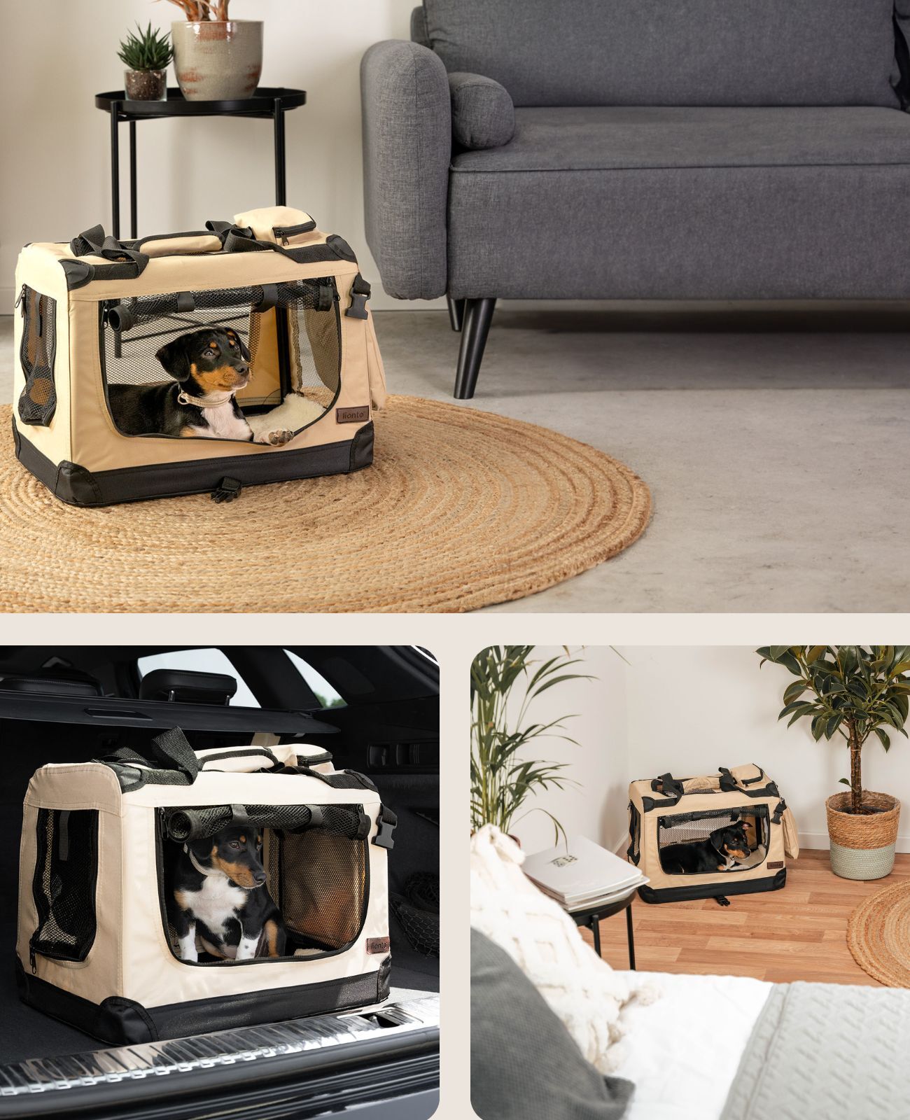 Lionto Transportboxen & Gitterboxen Lionto Hundetransportbox - faltbar - beige S