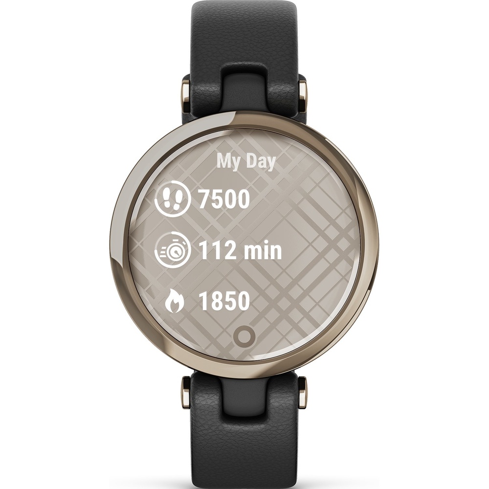 Garmin Montre intelligente Matière synthétique, Acier inoxydable Montre