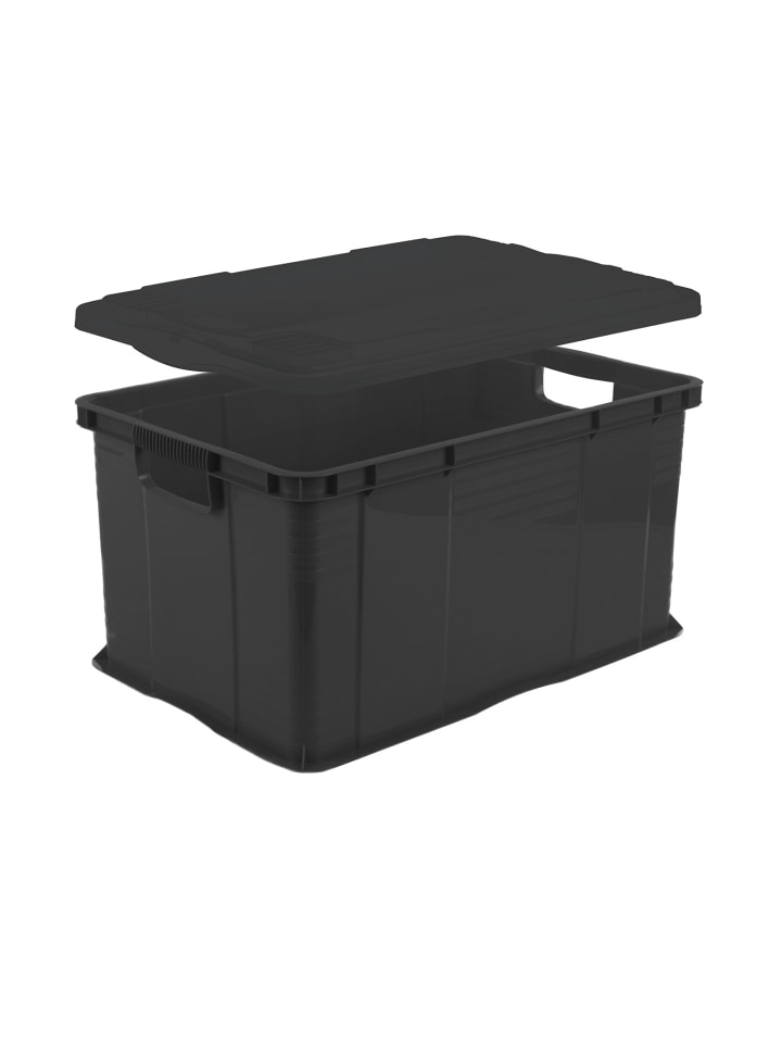 Rotho Systembox A3 mit Deckel AGILO günstig kaufen onesize