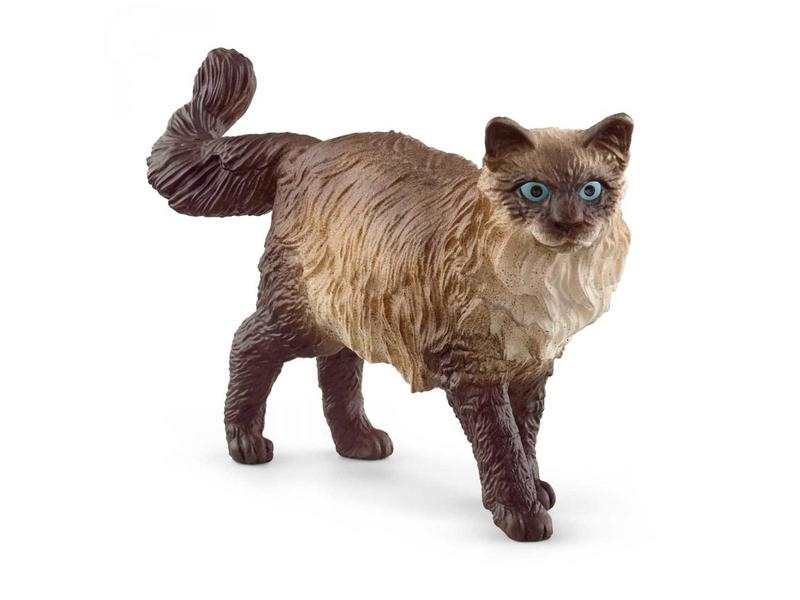 Chat Ragdoll