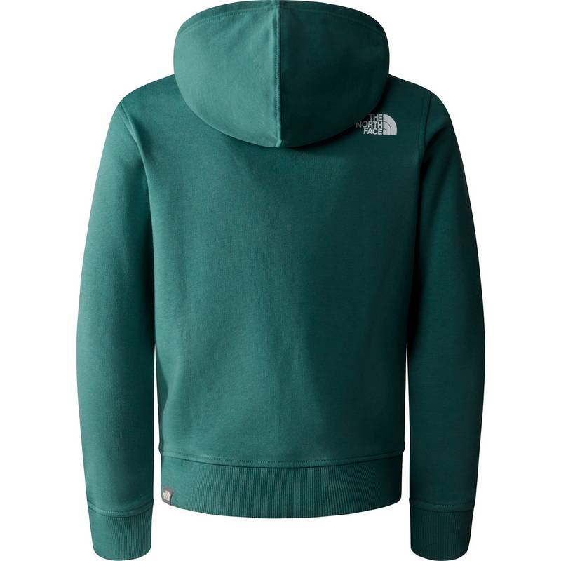 The North Face Off Mountain Logowear Hoodie Kinder