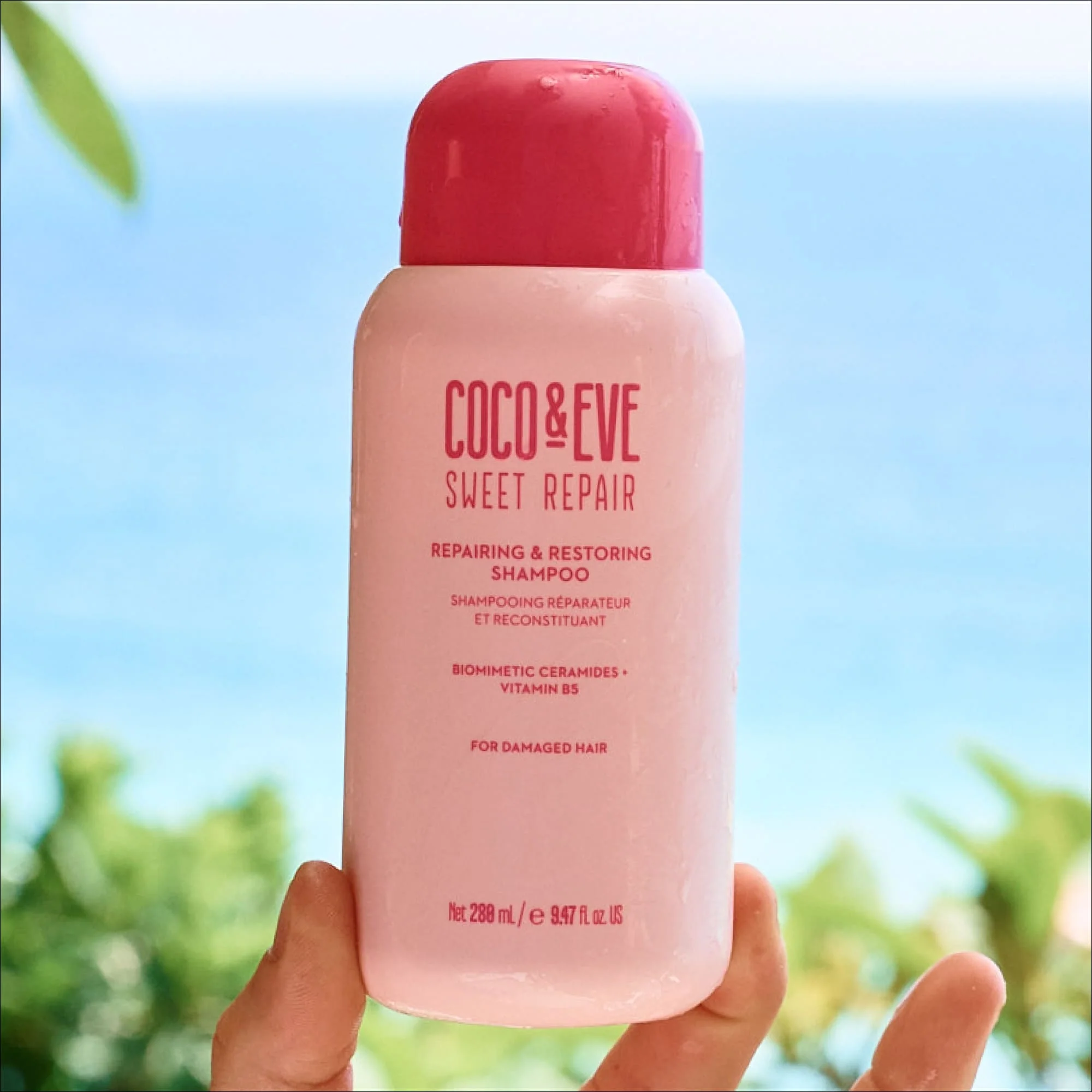 Sweet Repair Repair Repair & Restoring Shampoo - Repair Shampoo