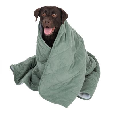 Modern Living Hundedecke Victoria