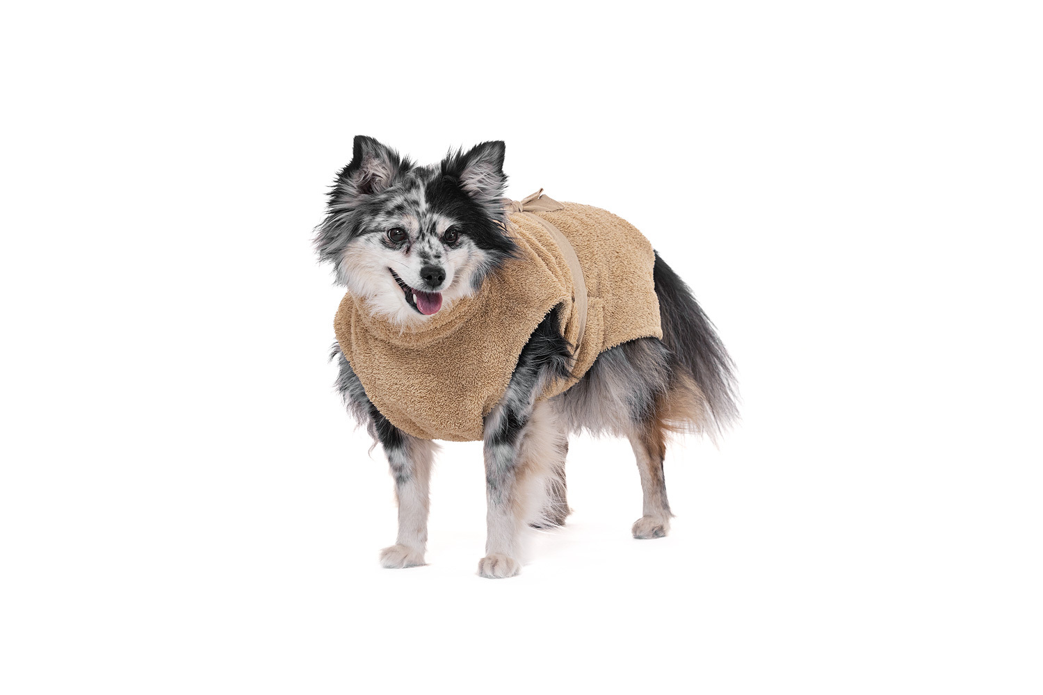 Lills Hundemäntel Lills Lill's Hundebademantel 