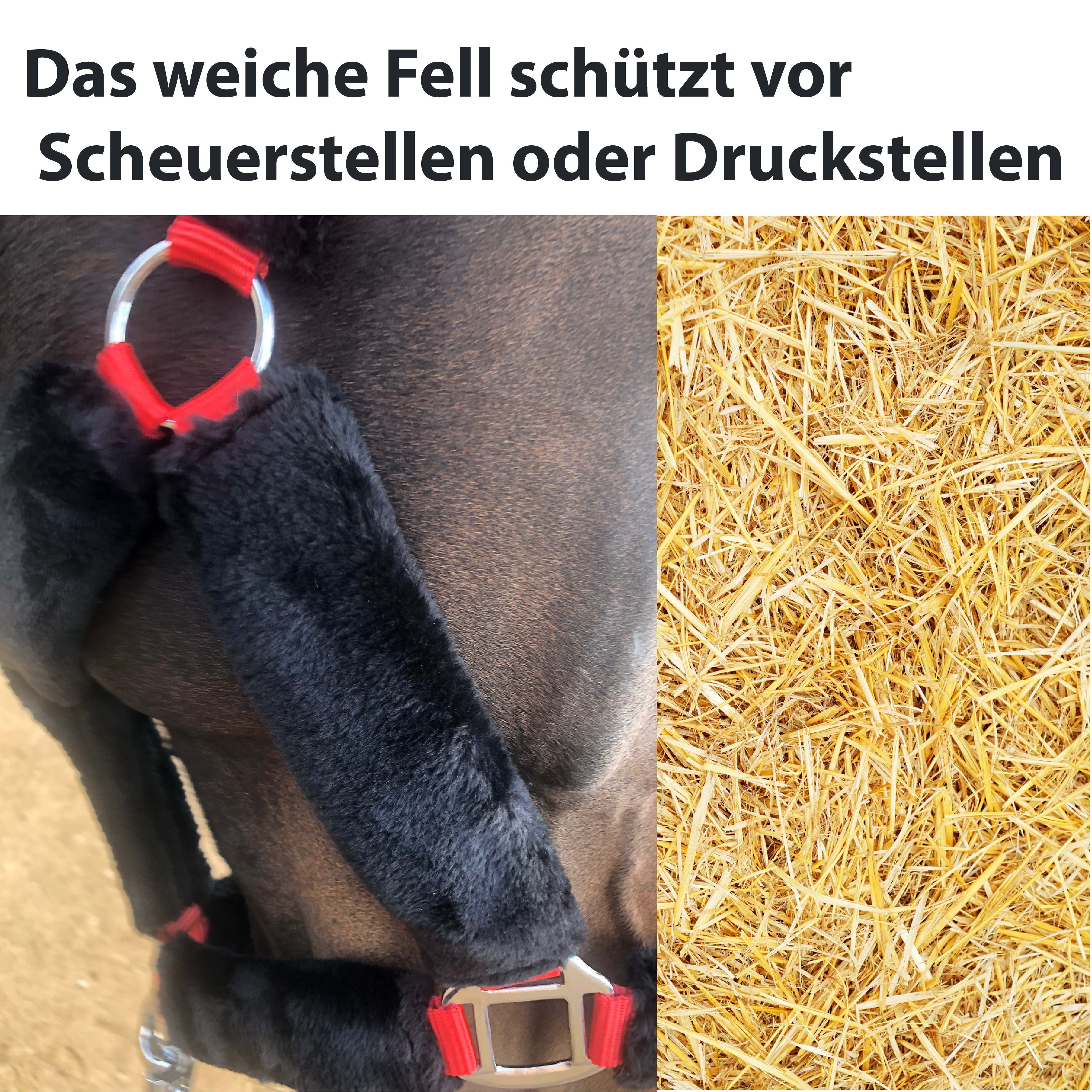 Pferdelinis Fellhalfter Halfter mit Fell Halfter für Pferde, Größen Pony Warmblut Cob Kaltblut, verstellbar