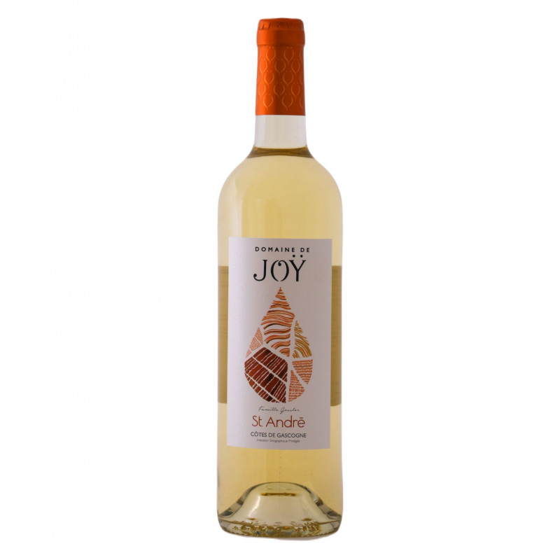 Domaine De Joÿ St André
