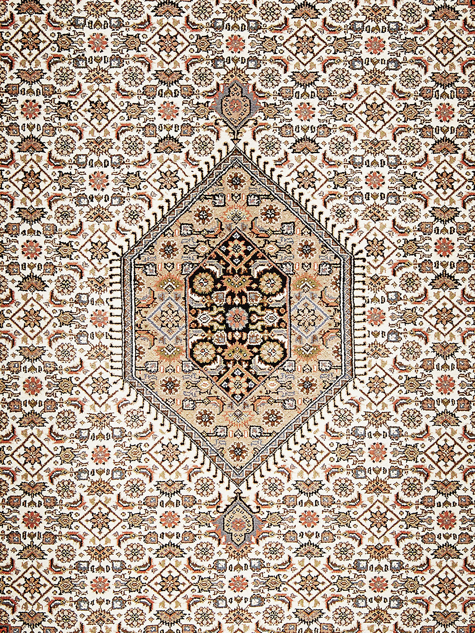 Rawara Bidjar Orient-Teppich, Beige