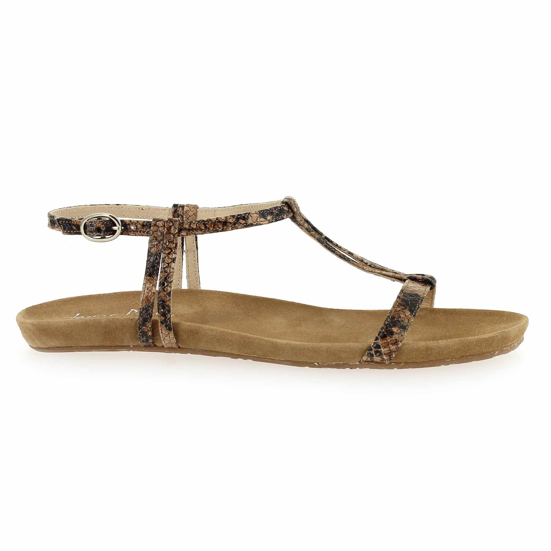 Janie Philip  HAWAI - Camel Python
