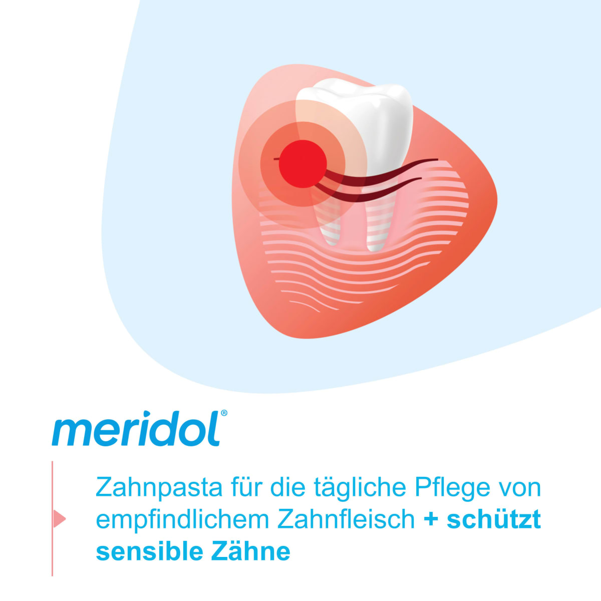 Zahnpasta Rundumpflege, 75 ml
