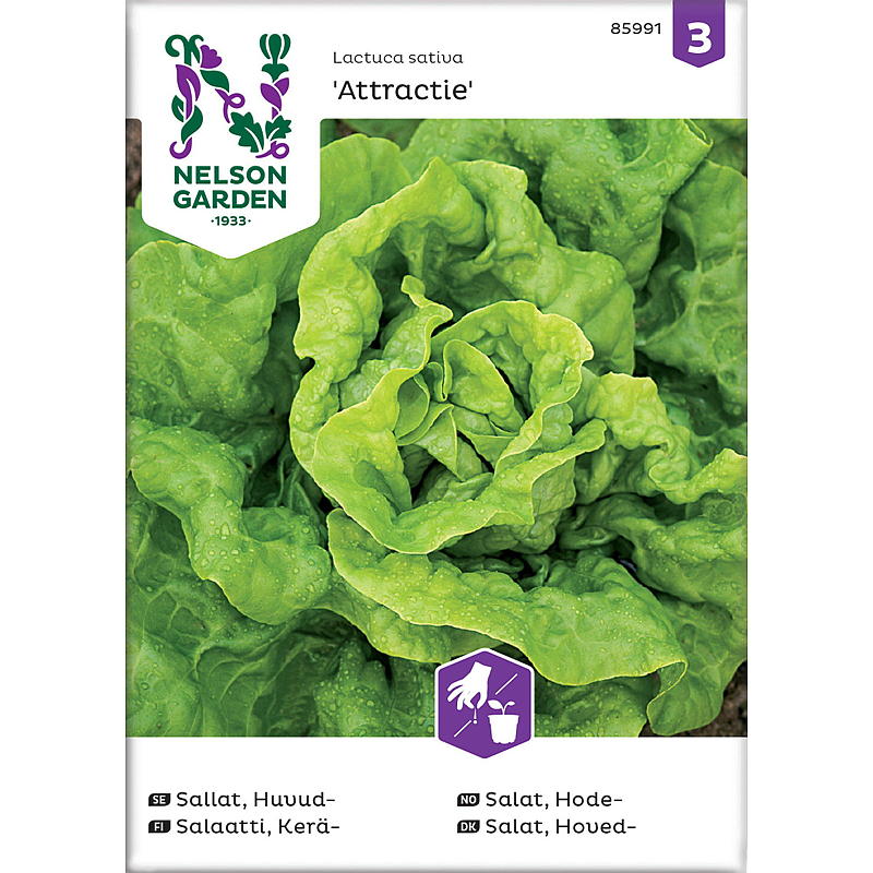 Nelson garden Frø Salat Hode-, Attractie