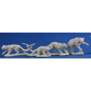 Companion Animals (5)