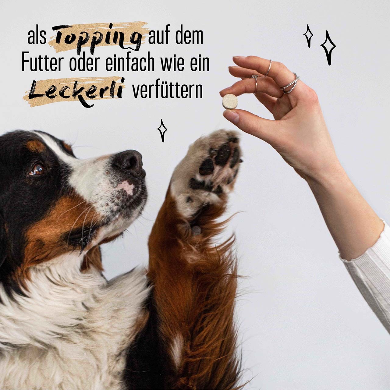 ALPHAZOO Ergänzungsfutter & Aufzucht ALPHAZOO Bierhefe Tabletten für Hunde und Katzen 75 g