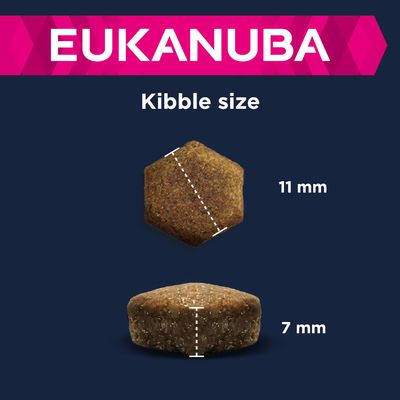 Eukanuba Puppy Large & Giant Breed Lamm & Reis