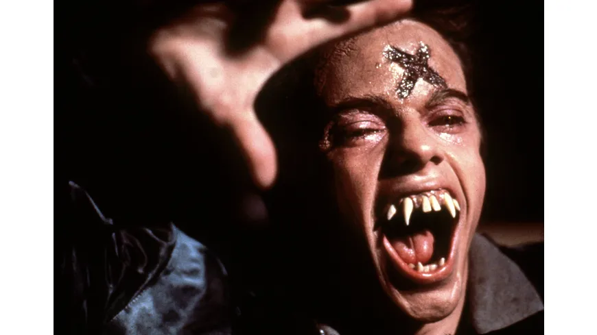 Die rabenschwarze Nacht - Fright Night