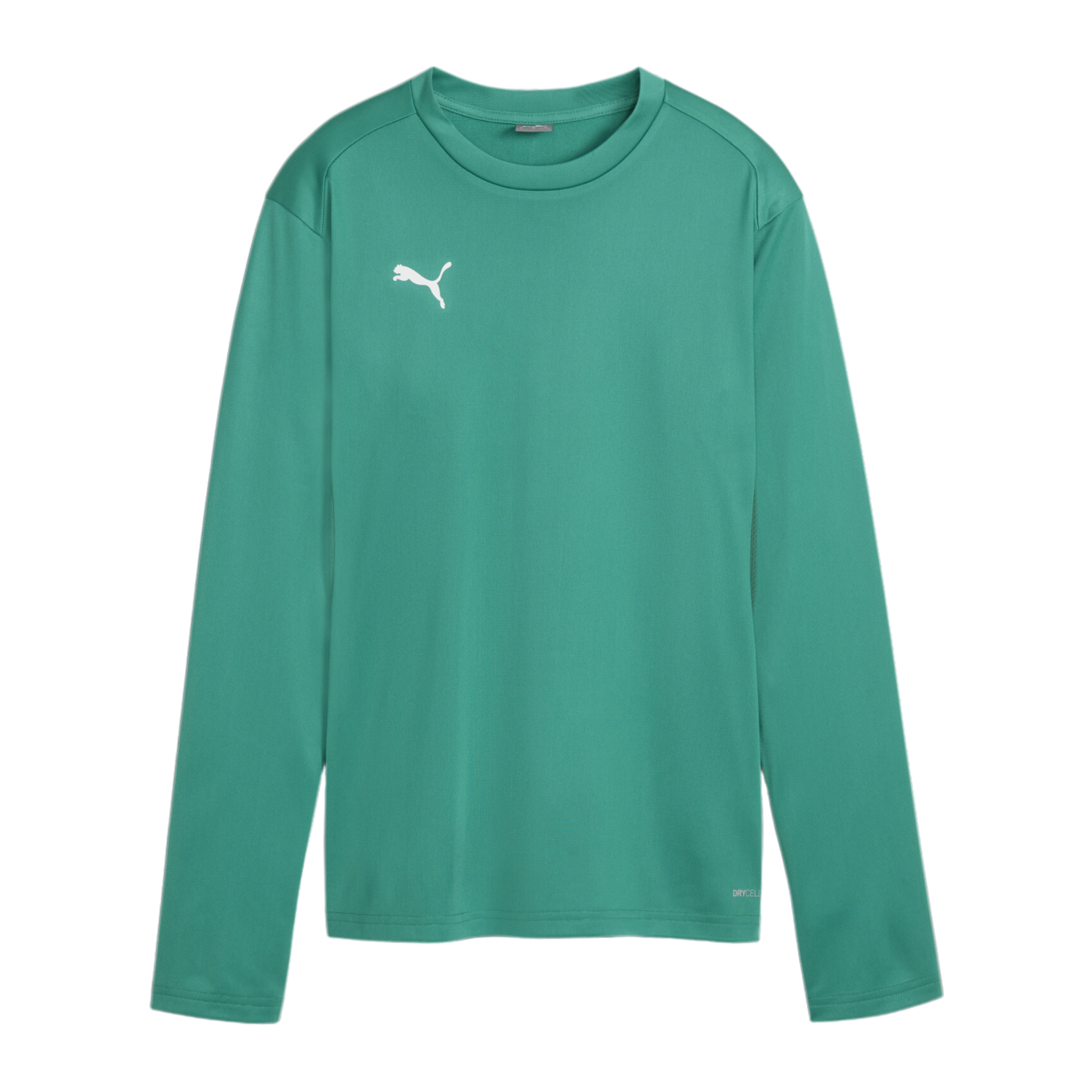 PUMA teamGOAL Training Sweatshirt Damen Grün F05