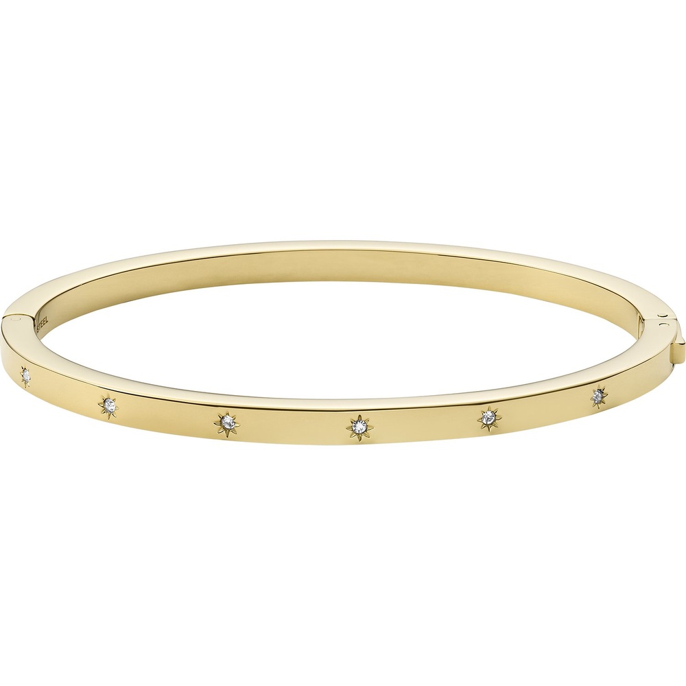 Fossil Bracelet Acier inoxydable Bracelet