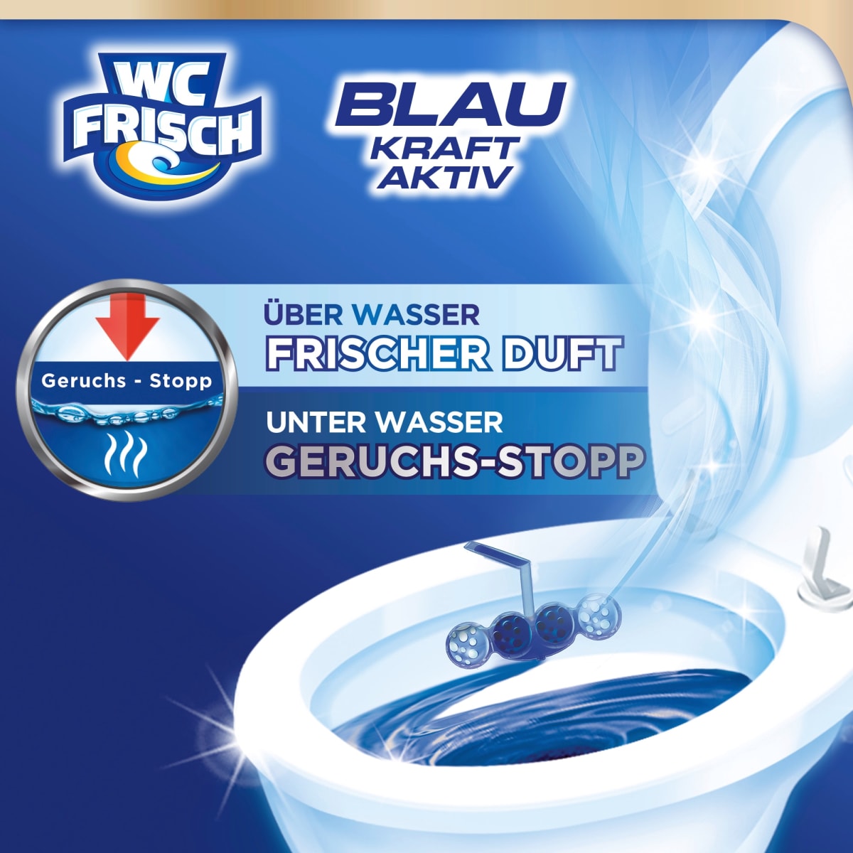 WC-Stein Blau Kraft Aktiv Chlor, 1 St